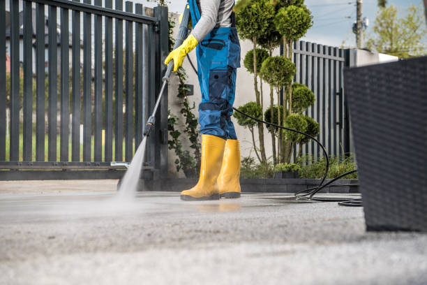 Best Dumpster Area Cleaning  in Avalon, CA