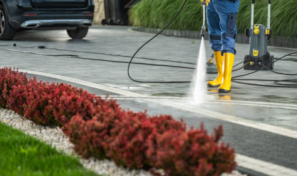 Best Fence Cleaning  in Avalon, CA