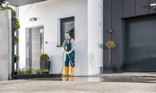 Best Solar Panel Cleaning  in Avalon, CA